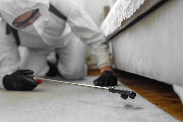 Professional Ant Control technician working in New Franklin, OH