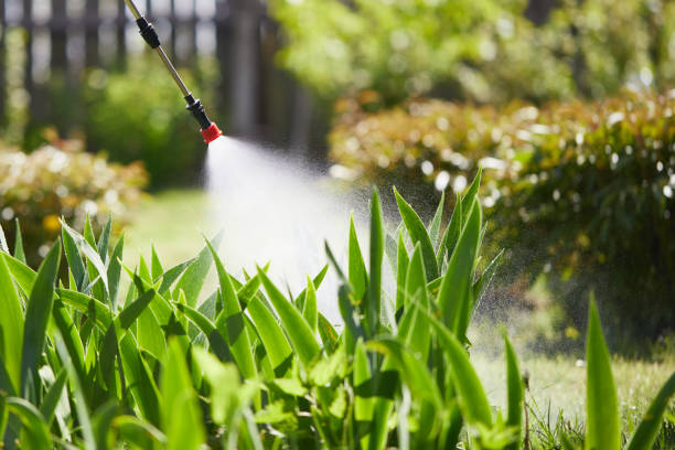 24/7 Emergency Ant Control experts in New Franklin, OH