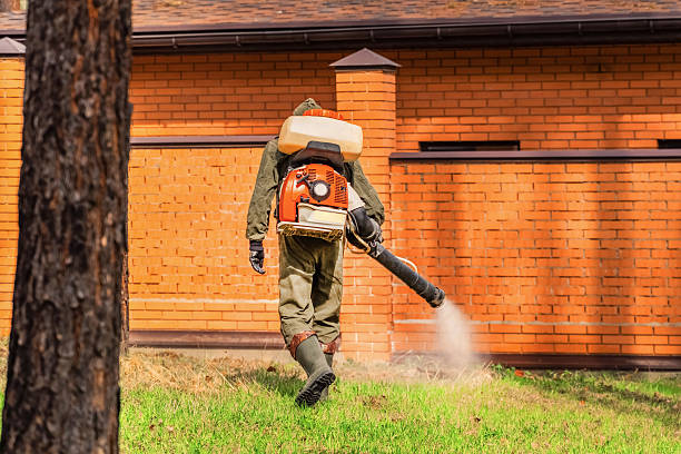 Trusted Termite Control service in New Franklin, OH - Nex Pest Control